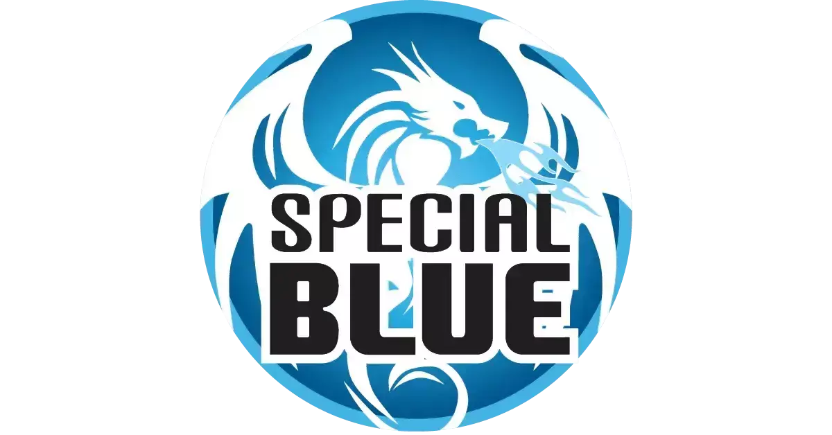 Special Blue Logo