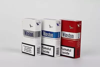 WINSTON WINSTON
