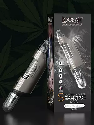 LOOKAH:SEA HORSE PRO LTD EDITION LOOKAH:SEA HORSE PRO LTD EDITION