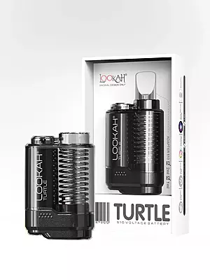 LOOKAH TURTLE LOOKAH TURTLE