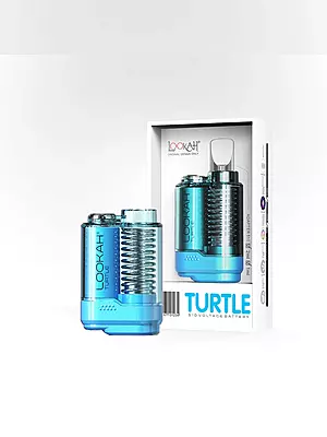 LOOKAH TURTLE LOOKAH TURTLE